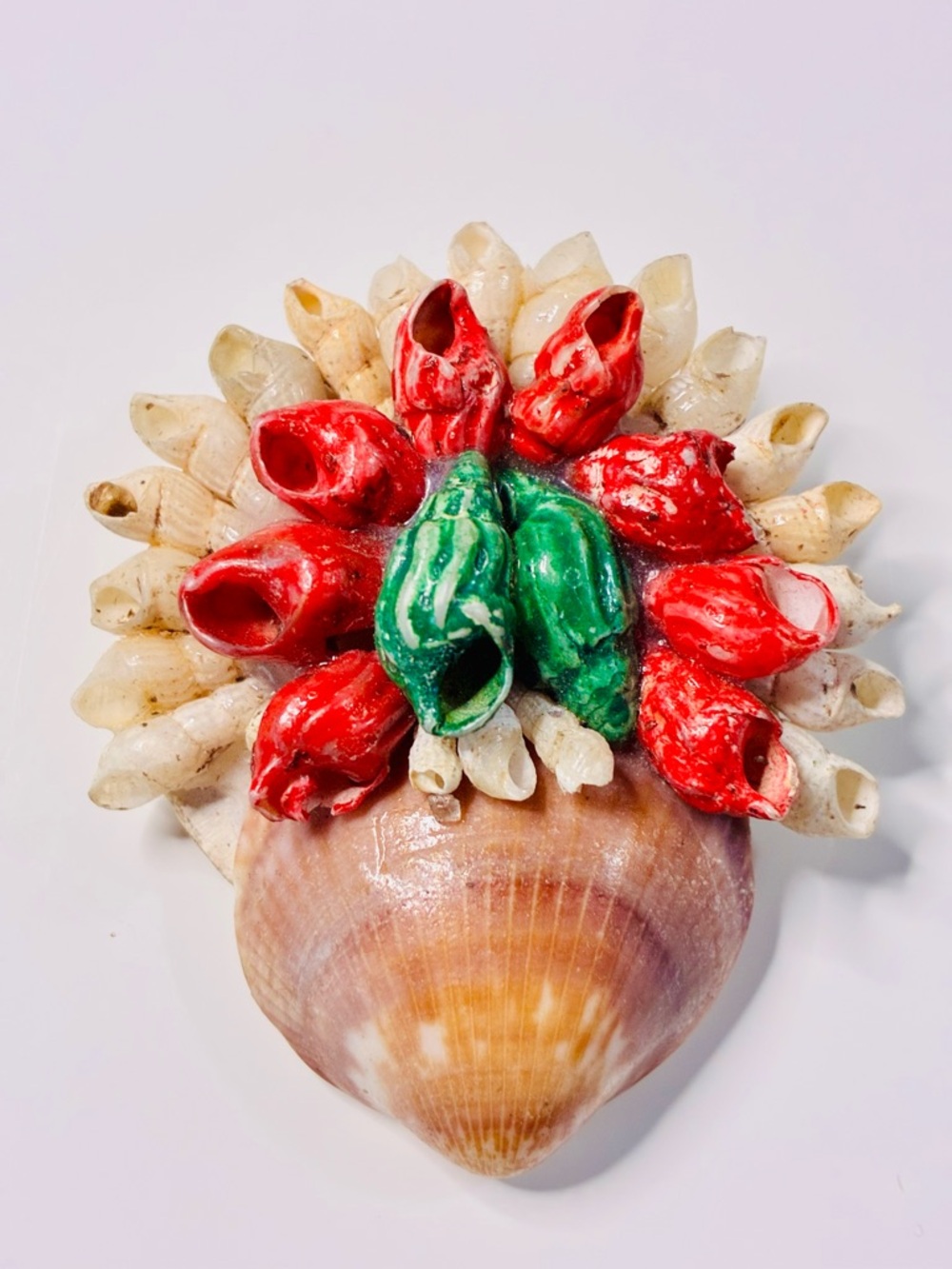 VTG Signed Shell Wall Accent with Red and Green Barnacle Cluster